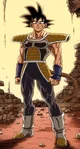 Bardock 