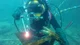 Commercial diver