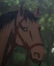 AOT Horse