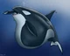 Bluey the Orca 