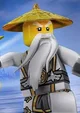 Sensei Wu ninja go