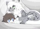 Female Snow Leopard