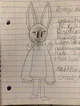 Bunny Velseb