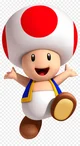 Toad