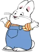 Max Bunny