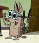 Henry Armadillo