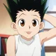 Gon Freecss
