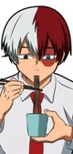 Shoto Todoroki 