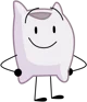 Pillow From BFB