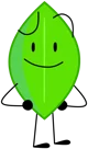 leafy From BFB