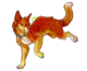 Jake