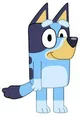 Bluey the dog