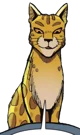 Leopardstar