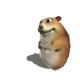 Normalny Chomik