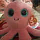 Sheldon the octopus
