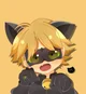 Chat Noir