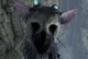 Trico 
