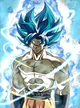Goku ssjb