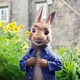 Peter Rabbit