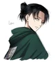 Levi