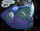 DVA the Slob Tank