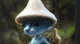 Blue smurf cat