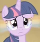 Twilight sparkle