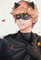 Cat Noir