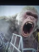 George Gorilla 