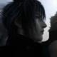 Noctus Lucis