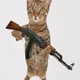 Cat holding Ak-47