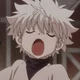 Killua Zoldyck