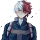-Shoto Todoroki-
