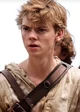 Newt