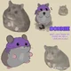 Hamster Donnie