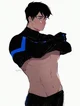 Nightwing 