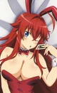 Rias Gremory 2