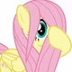 Fluttershy
