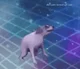 dancin doggo