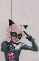 Cat noir
