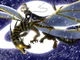 Dragon N 