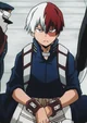 Shoto Todoroki