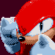 Knuckles The Echidna