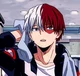 BNHA Todoroki Shoto