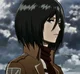 Mikasa Ackerman 