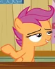 Cake -cutie mark cmc