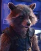 Rocket Raccoon 