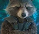 Rocket raccon 