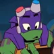 Donatello Hamato