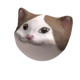 popcat